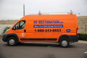 911 Restoration Mold Removal Boston