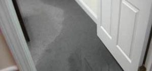 911 Restoration Water Damage Boston 