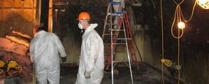 911 Restoration Mold Removal Boston